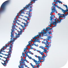 Генетика человека